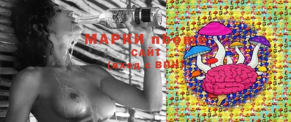 spice Алзамай