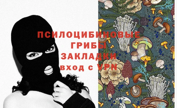 spice Алзамай