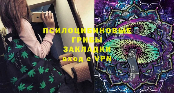 spice Алзамай